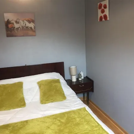 Apartment F2 Au Dernier Etage, Hyper Centre Mont-dore, A 50m Des Thermes, Ascenseur, Ideal Cure - Fr-1-415-83